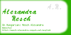 alexandra mesch business card